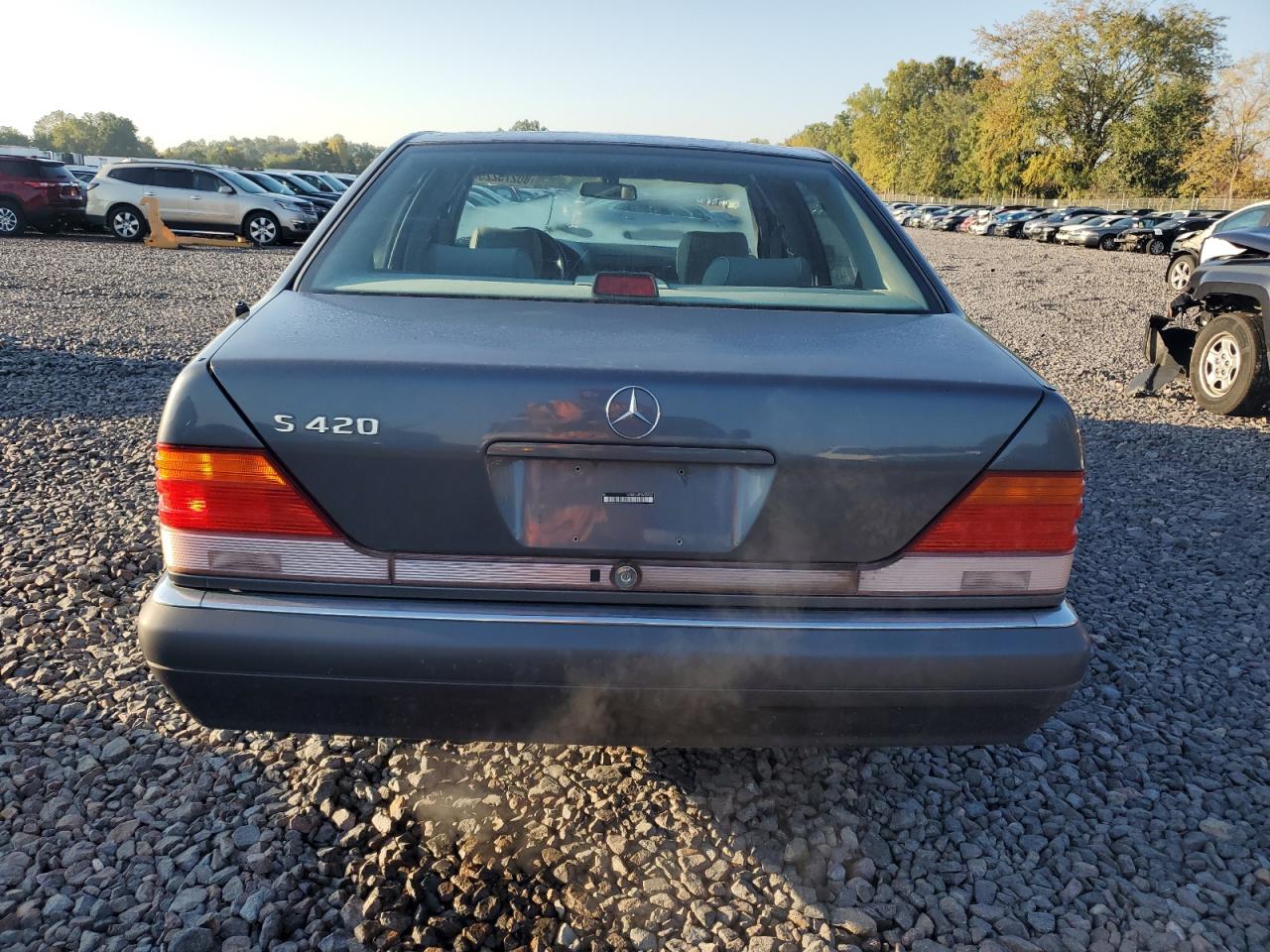 1995 Mercedes-Benz S 420 VIN: WDBGA43E1SA238056 Lot: 80275225