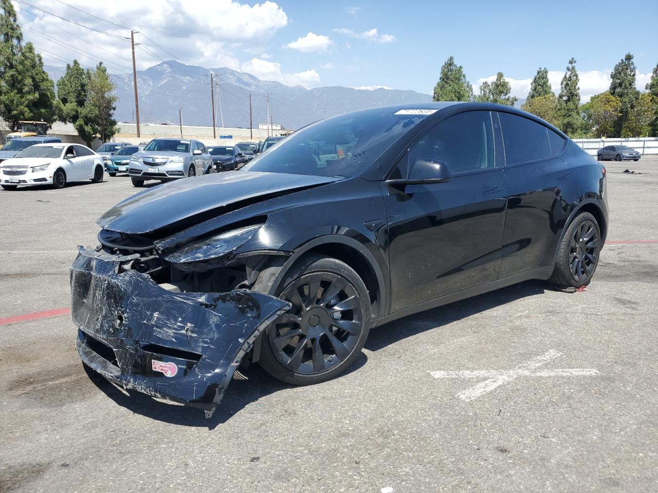 2023 TESLA MODEL Y BLACK VIN: 7SAYGAEE5PF848026