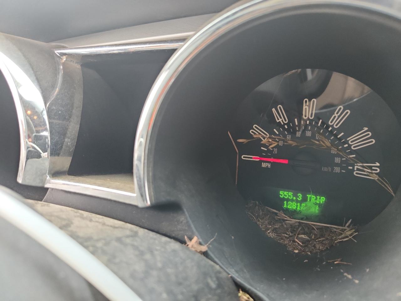 2006 Ford Mustang VIN: 1ZVHT84N565207734 Lot: 82052875