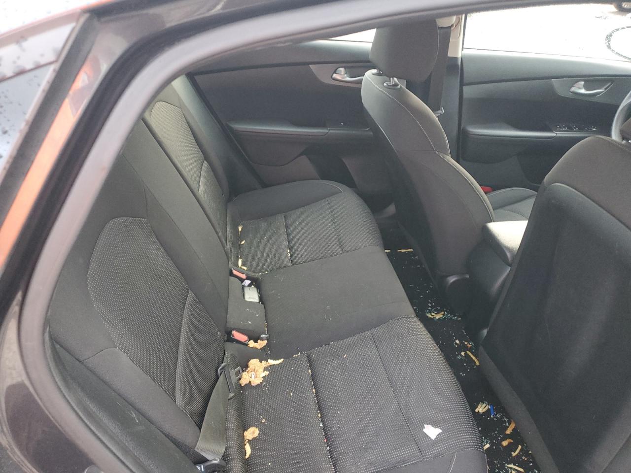 2019 Kia Forte Fe VIN: 3KPF24AD8KE029365 Lot: 81142915