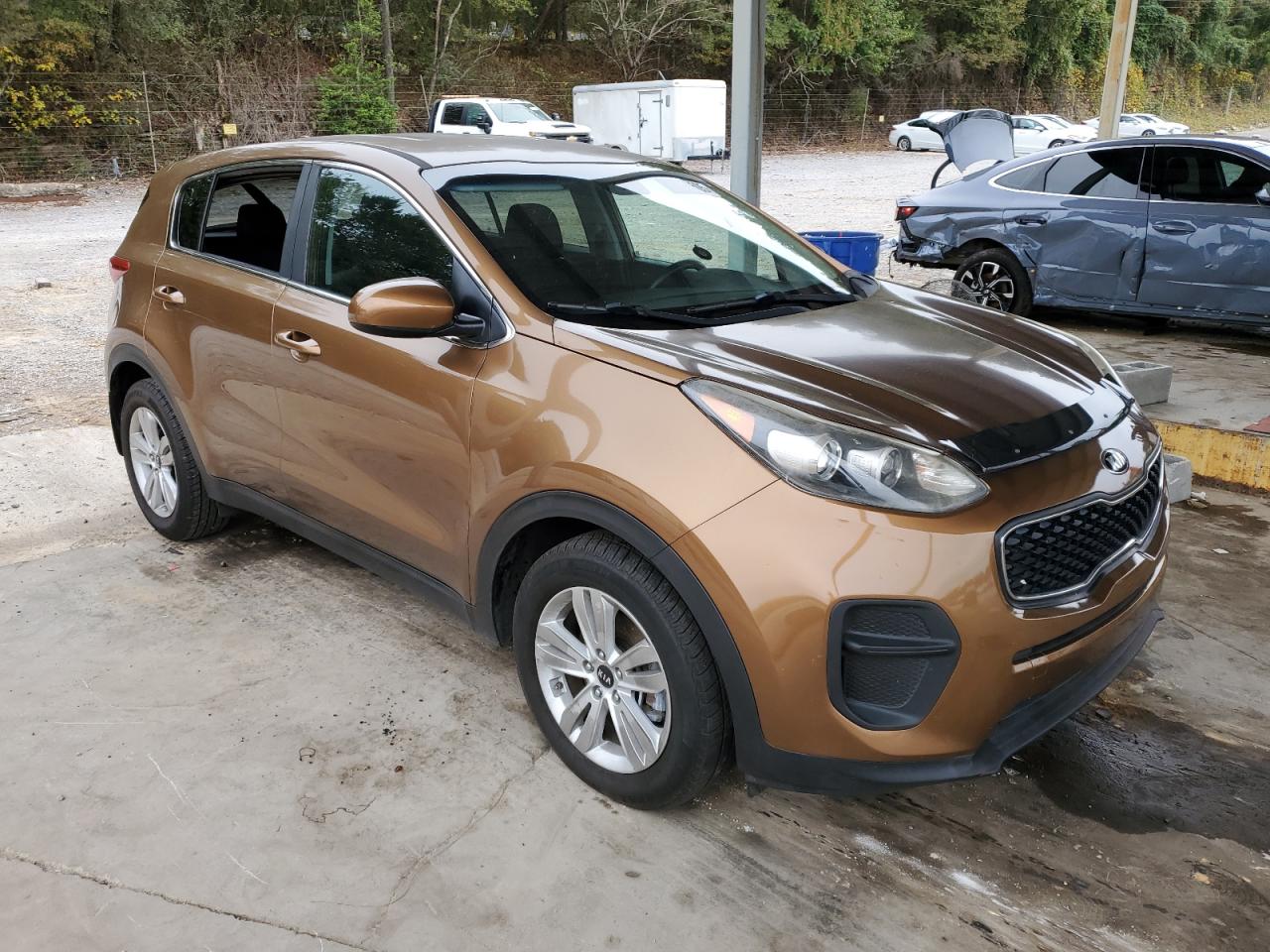 2017 Kia Sportage Lx VIN: KNDPM3AC6H7148914 Lot: 81811505