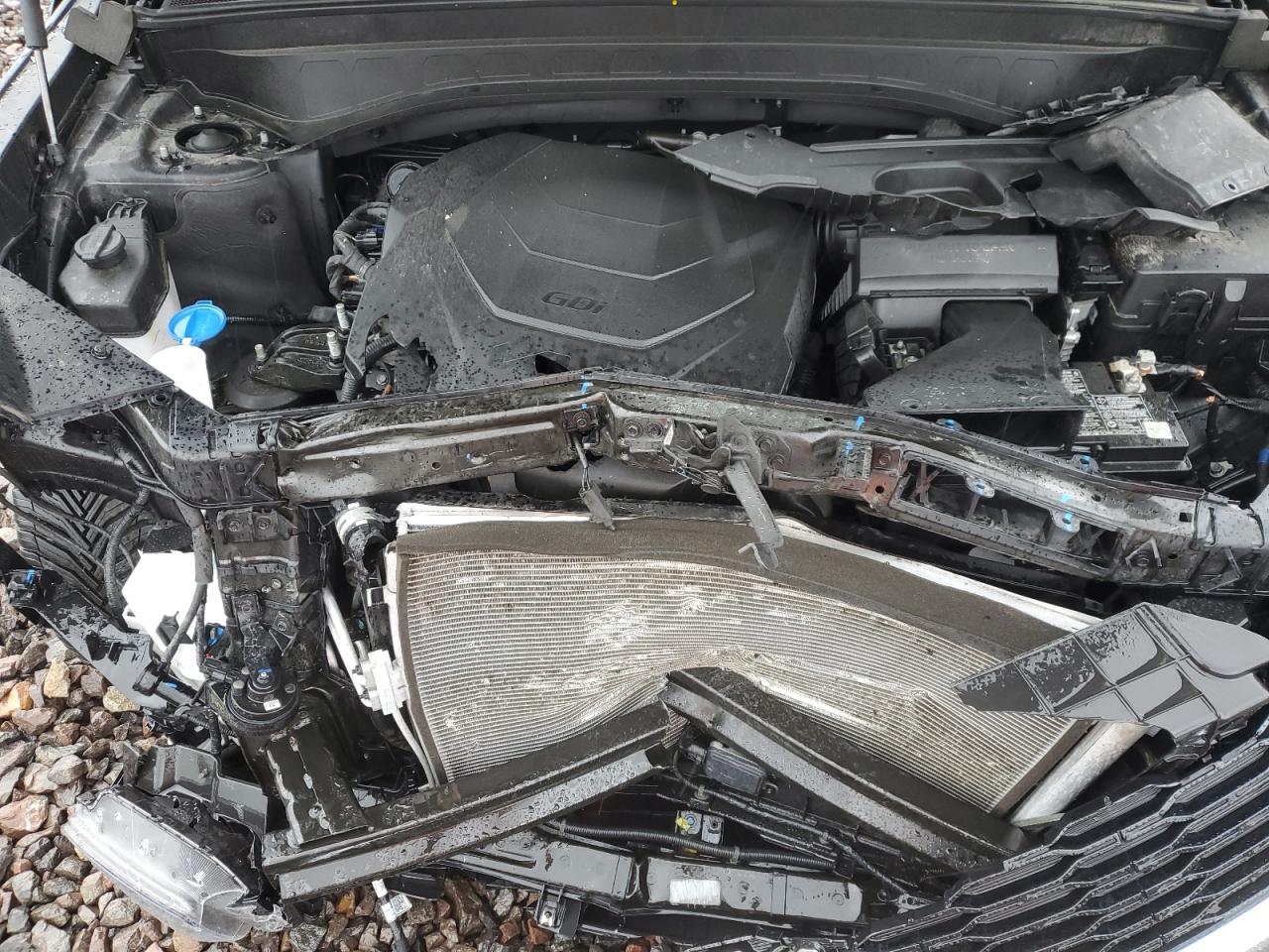 2022 Kia Telluride Sx VIN: 5XYP5DHC5NG315903 Lot: 81562215