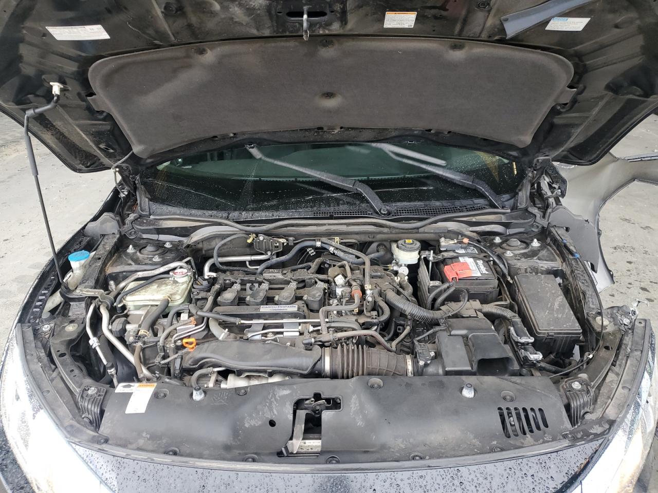 2018 Honda Civic Exl VIN: JHMFC1F79JX022050 Lot: 81908095