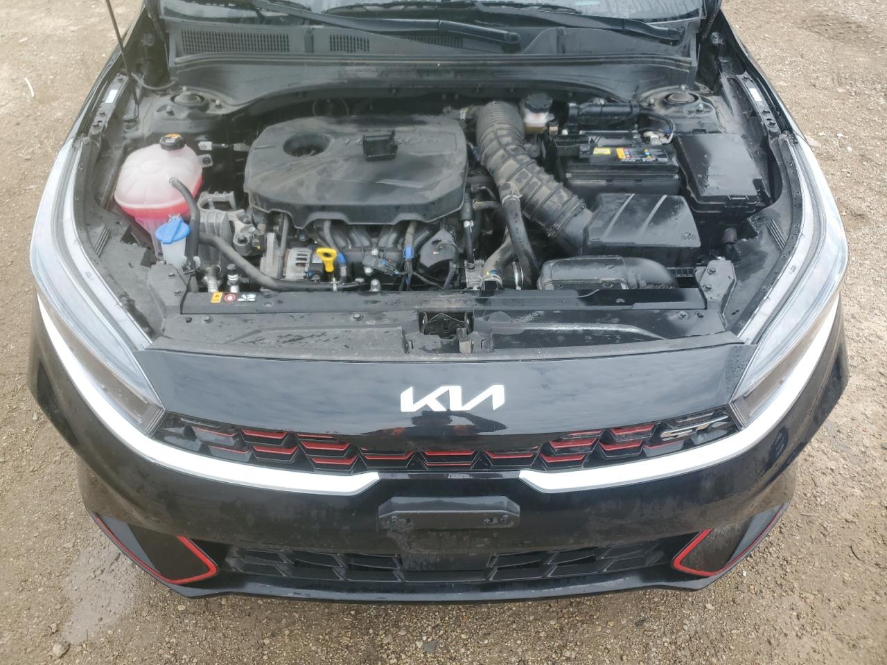 2024 Kia Forte Gt VIN: 3KPF44AC0RE771898 Lot: 81514045