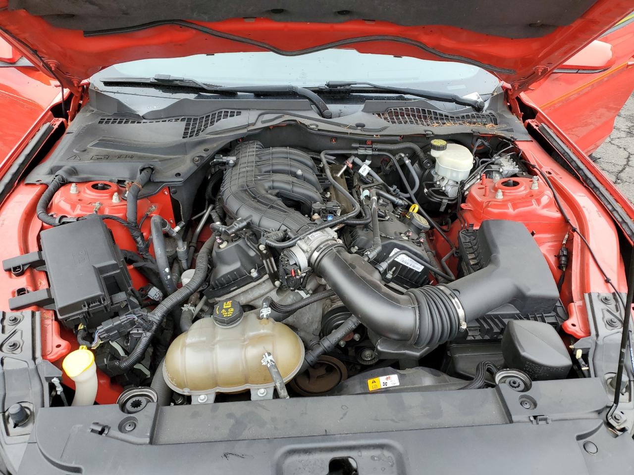 2015 Ford Mustang VIN: 1FA6P8AM8F5342934 Lot: 81774455