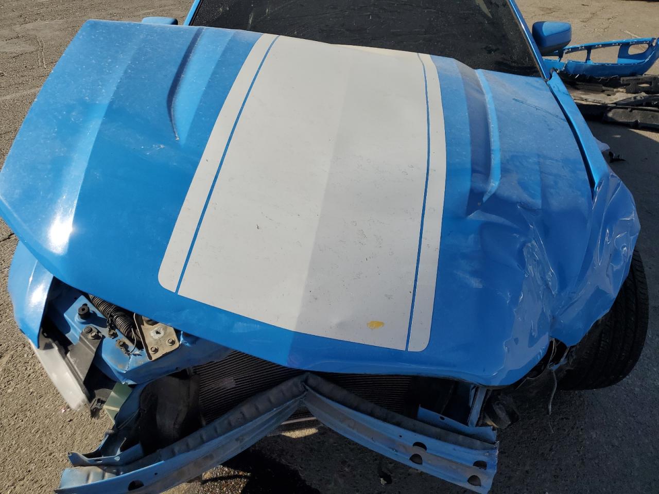 2010 Ford Mustang Gt VIN: 1ZVBP8CH7A5132985 Lot: 80030525