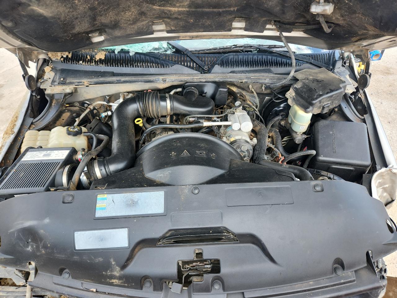 2002 Chevrolet Silverado C1500 VIN: 1GCEC14W62Z192105 Lot: 80572975