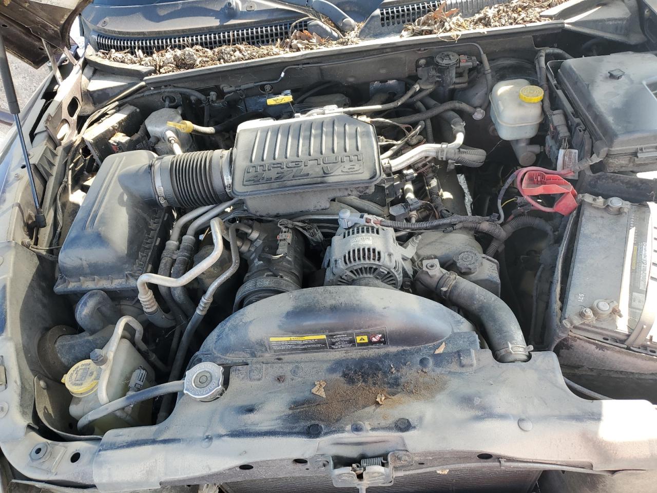 2005 Dodge Dakota Quad VIN: 1D7HE28N55S201276 Lot: 83886135