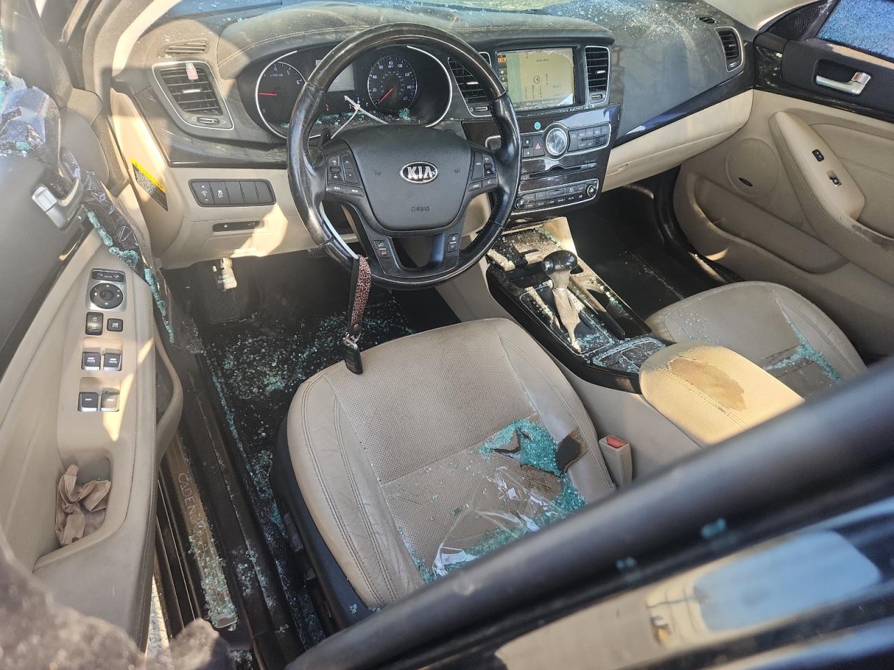 2015 Kia Cadenza Premium VIN: KNALN4D70F5193739 Lot: 80501345
