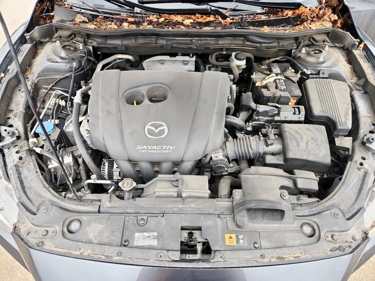 2015 Mazda 6 Touring VIN: JM1GJ1V50F1197146 Lot: 81494945