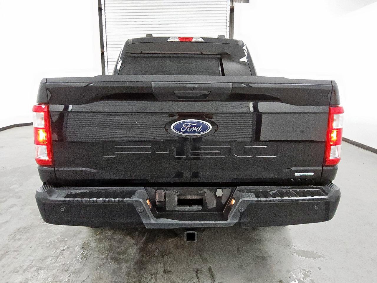 2023 Ford F150 Supercrew VIN: 1FTEW1CP1PKE60365 Lot: 81051505