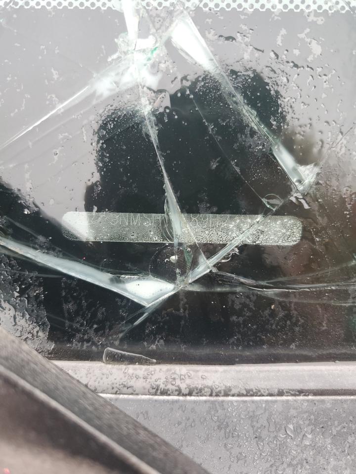 2009 Hyundai Santa Fe Se VIN: 5NMSH13E89H239470 Lot: 81865365