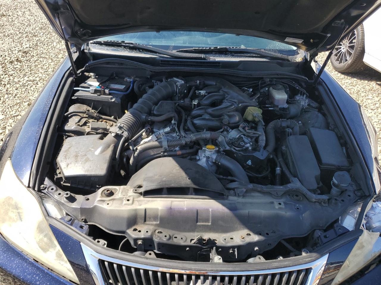 2009 Lexus Is 250 VIN: JTHBK262992092247 Lot: 92428885