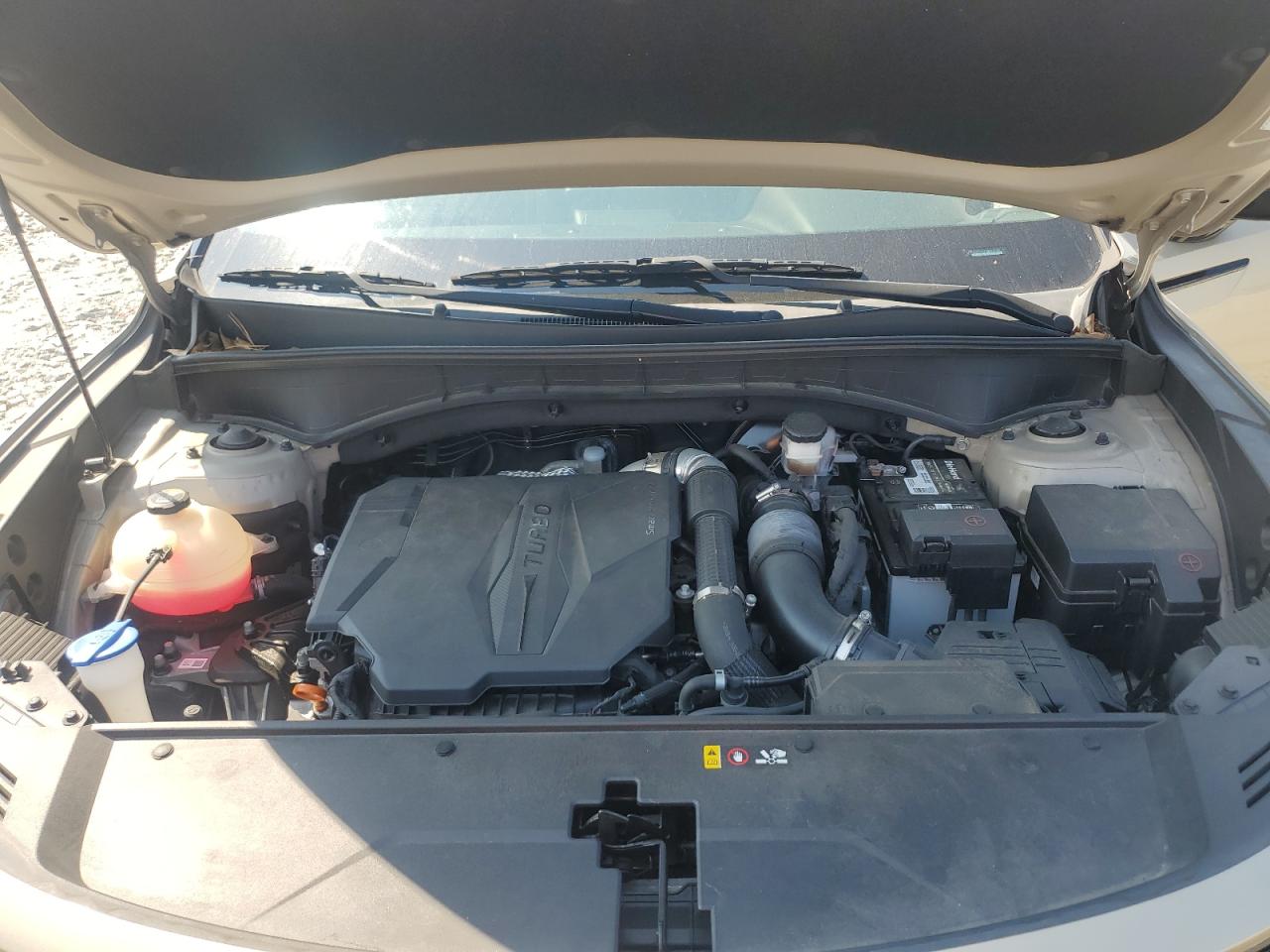 2021 Kia Sorento Ex VIN: 5XYRHDLF9MG024756 Lot: 81564945