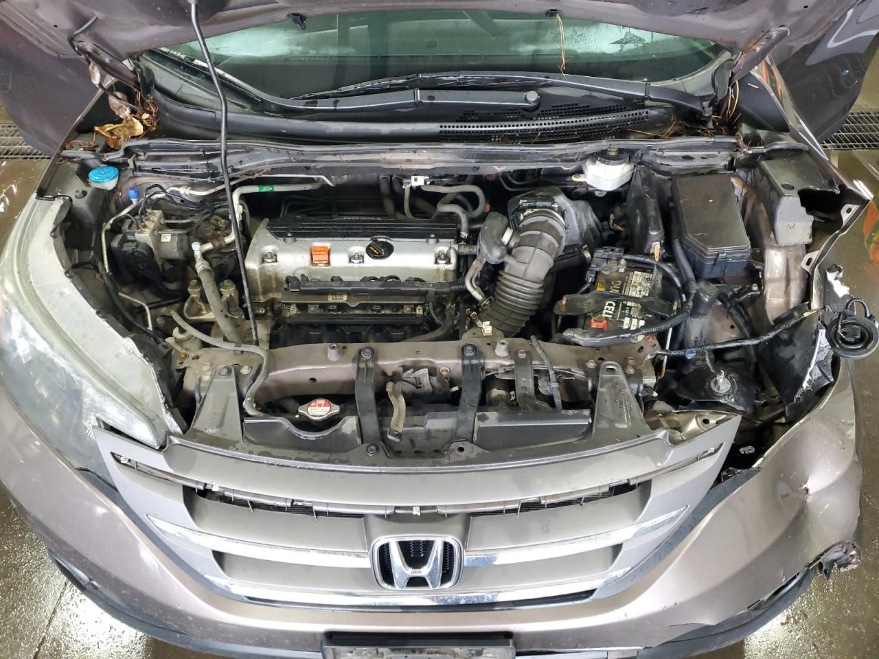 2014 Honda Cr-V Exl VIN: 2HKRM4H70EH700731 Lot: 81574785