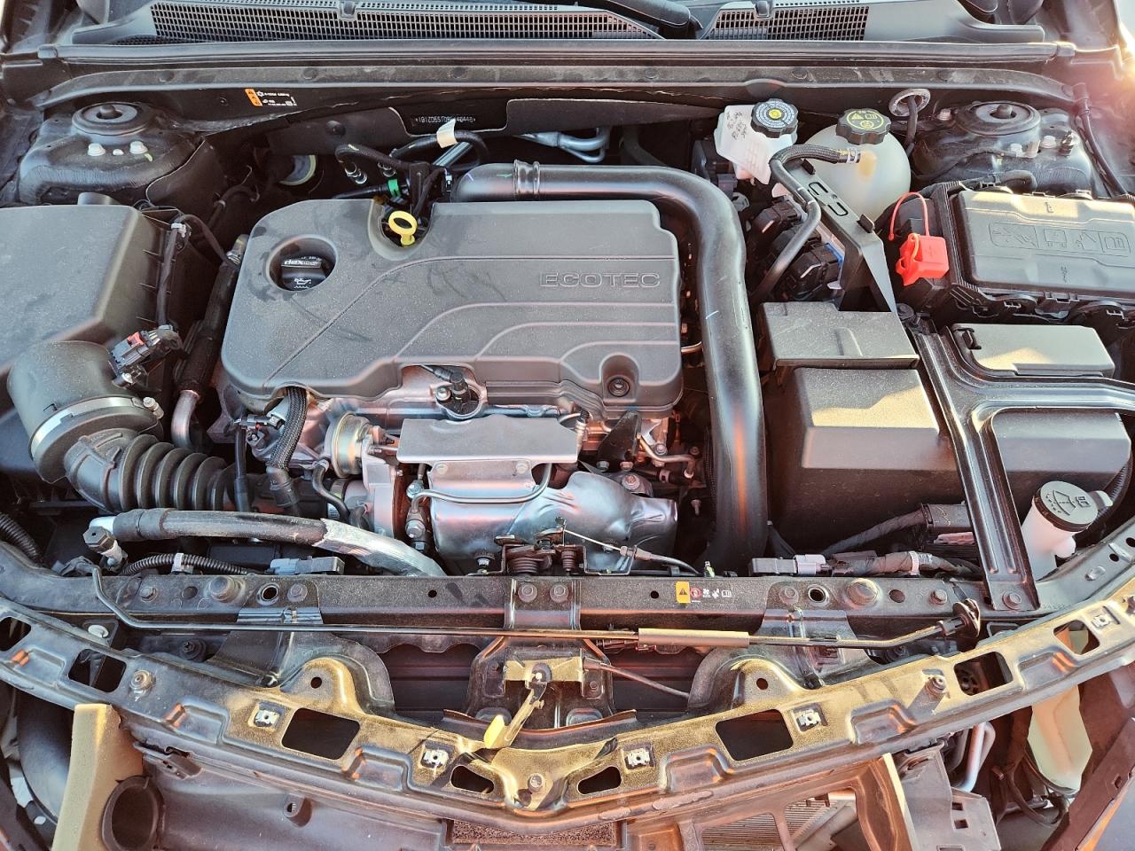 2023 Chevrolet Malibu Lt VIN: 1G1ZD5ST0PF146446 Lot: 71912785