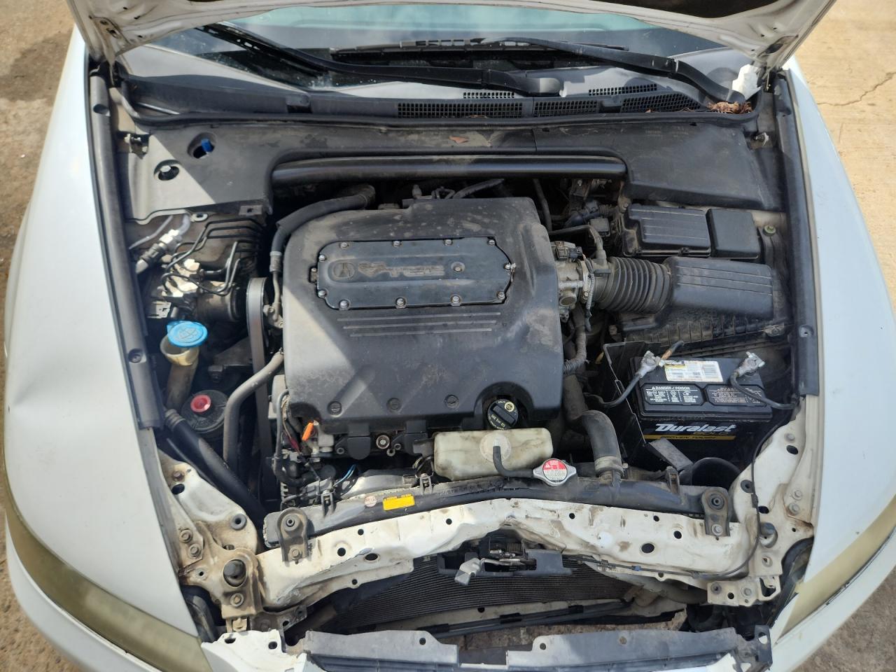 2006 Acura 3.2Tl VIN: 19UUA66256A019187 Lot: 81871205