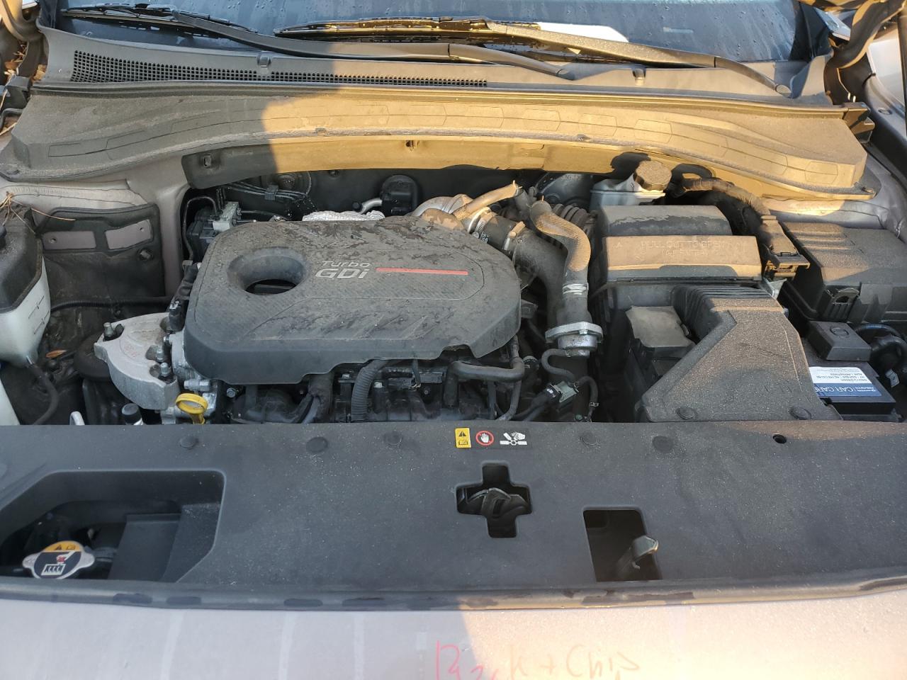 2020 Hyundai Santa Fe Sel VIN: 5NMS3CAAXLH226186 Lot: 81029015