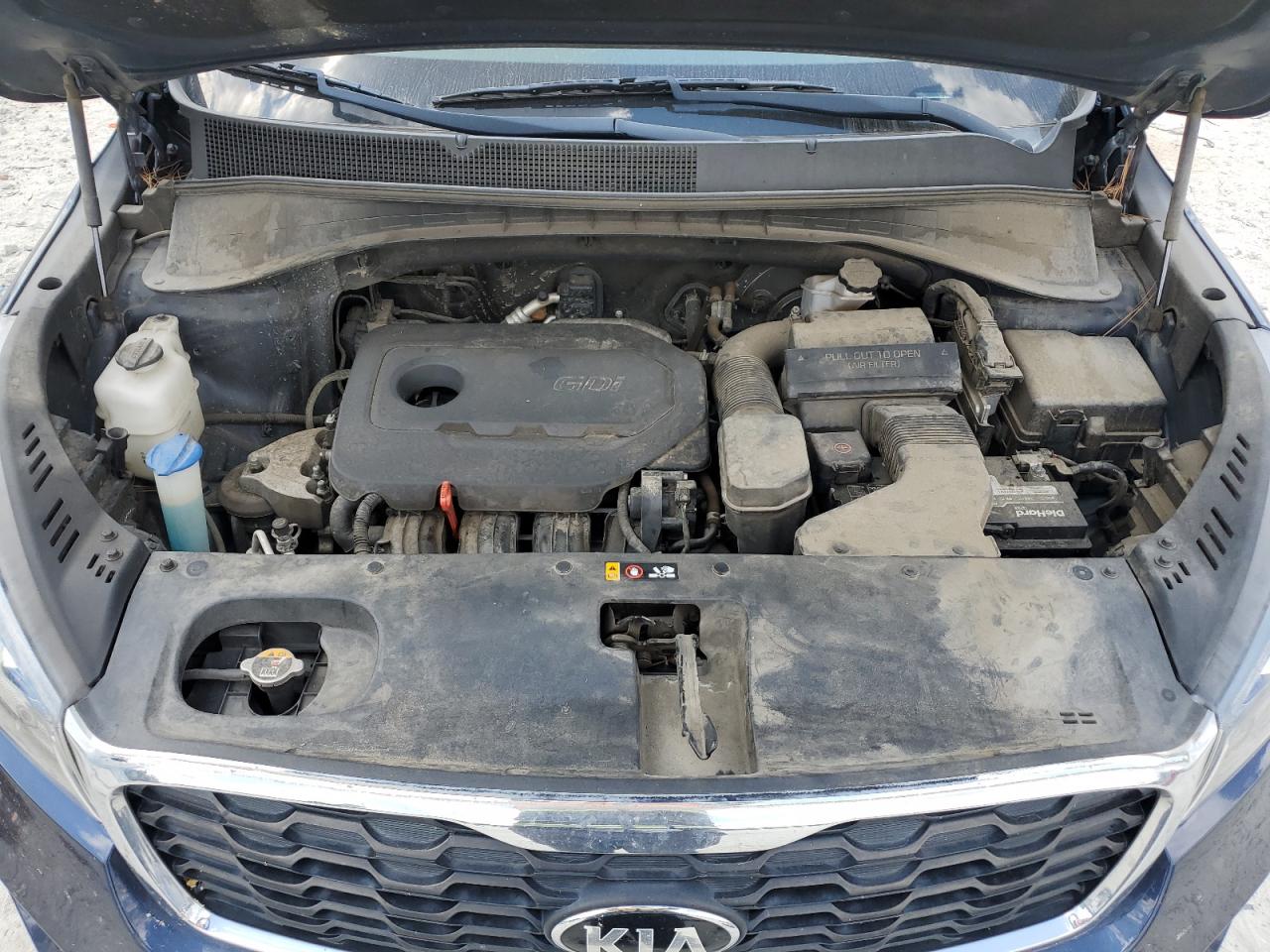 2019 Kia Sorento L VIN: 5XYPGDA32KG480498 Lot: 80701565