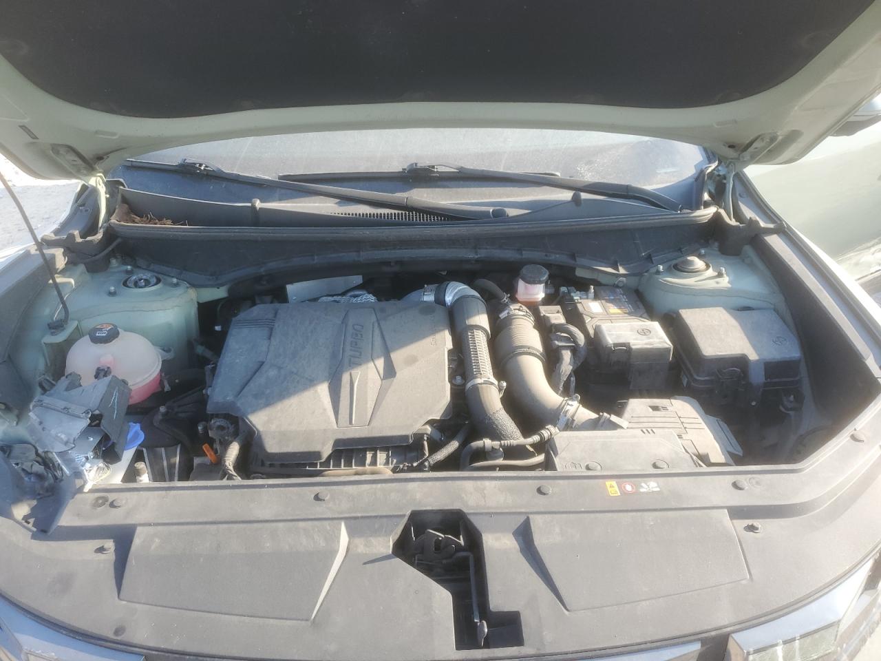 2023 Hyundai Santa Cruz Limited VIN: 5NTJEDAF5PH040332 Lot: 71956265