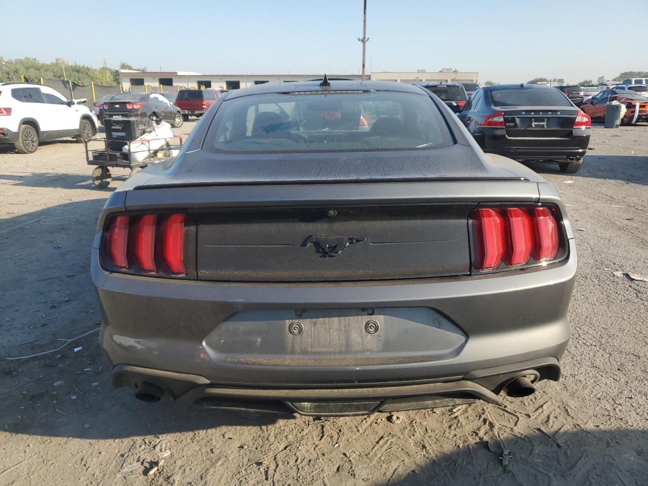 2021 Ford Mustang VIN: 1FA6P8TH5M5126973 Lot: 80519015
