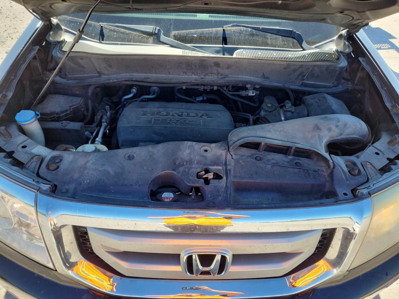 2011 Honda Pilot Exln VIN: 5FNYF4H78BB010399 Lot: 71929095