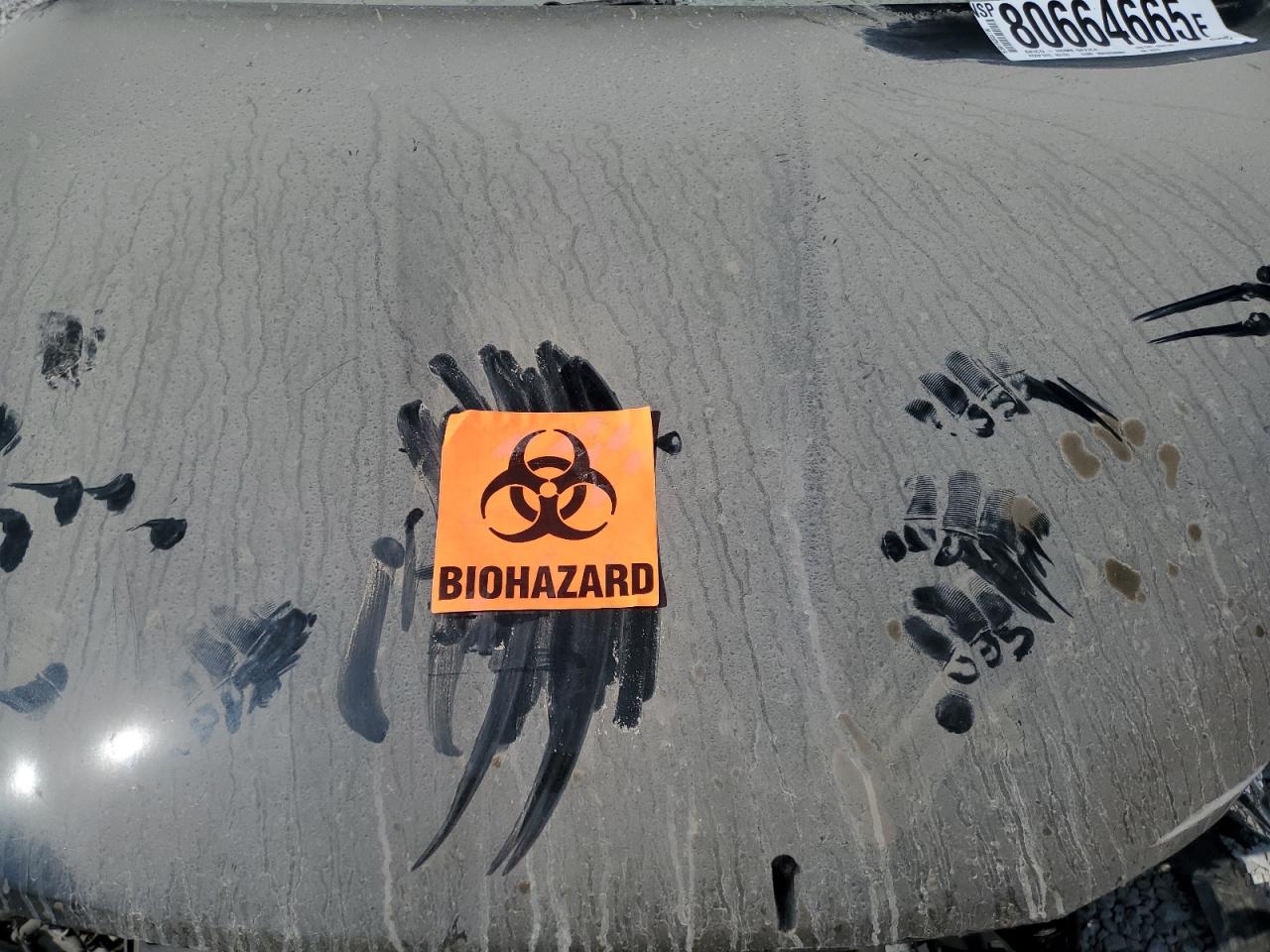 2019 Chrysler Pacifica Touring L Plus VIN: 2C4RC1EG3KR705619 Lot: 80664665