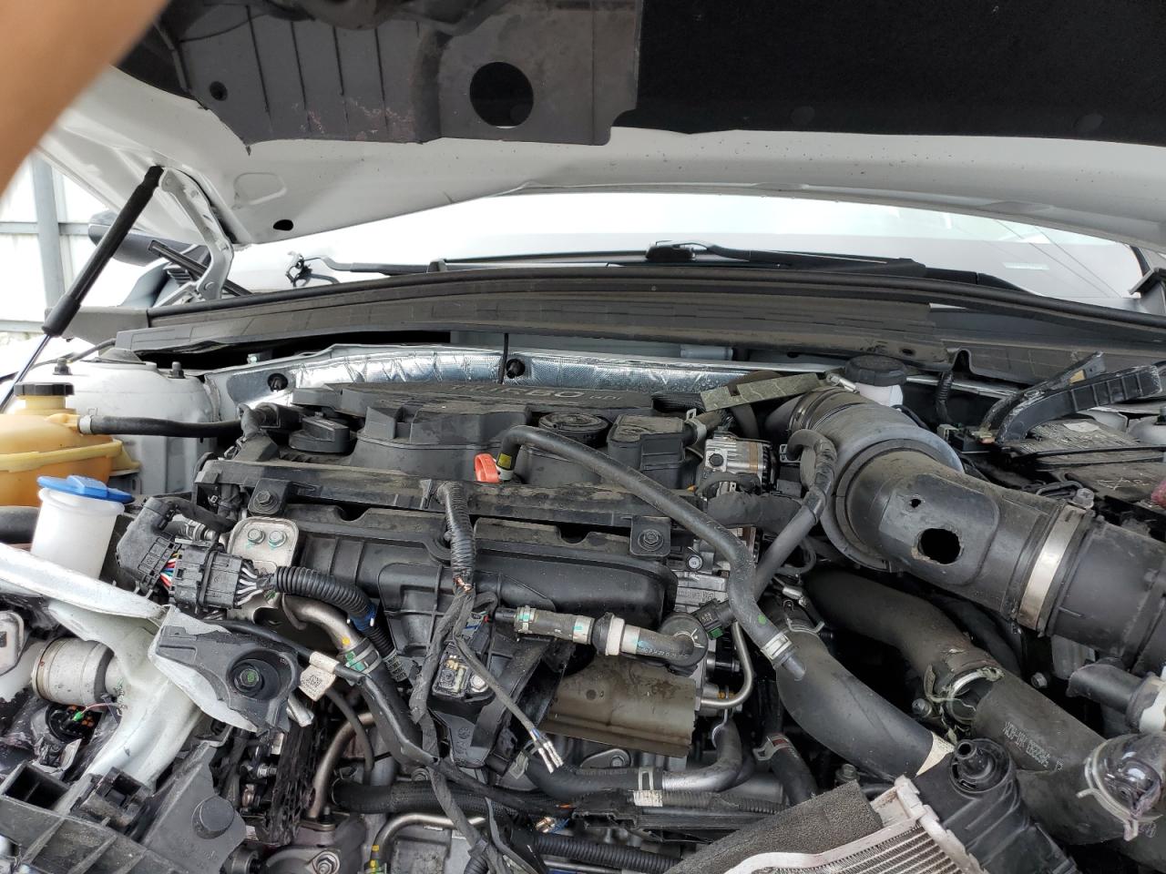 2024 Kia K5 Gt Line VIN: 5XXG64J24RG247537 Lot: 80939605
