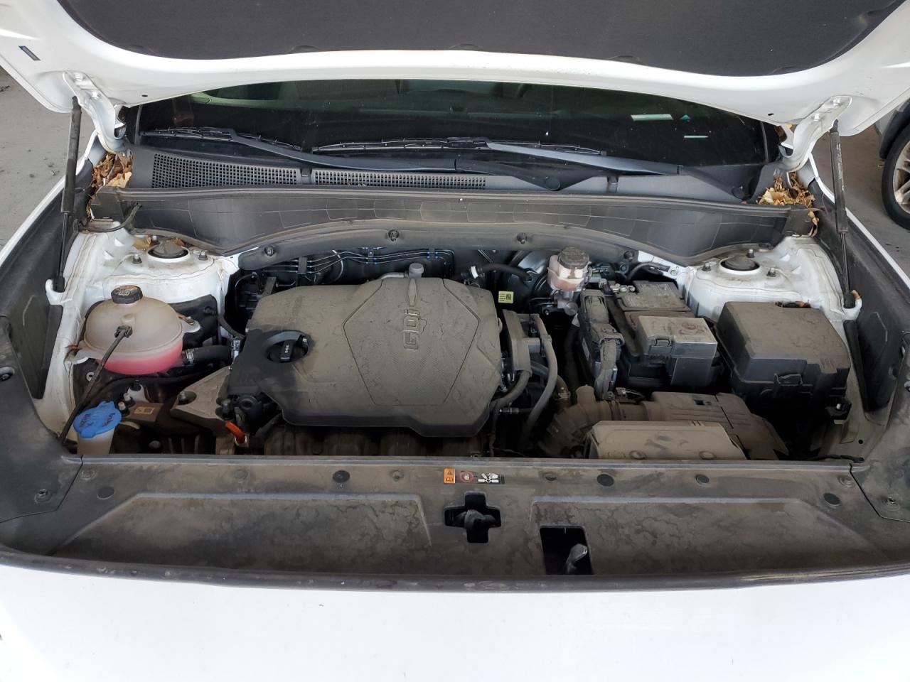 2022 Hyundai Santa Fe Sel VIN: 5NMS2DAJ3NH442358 Lot: 80354875