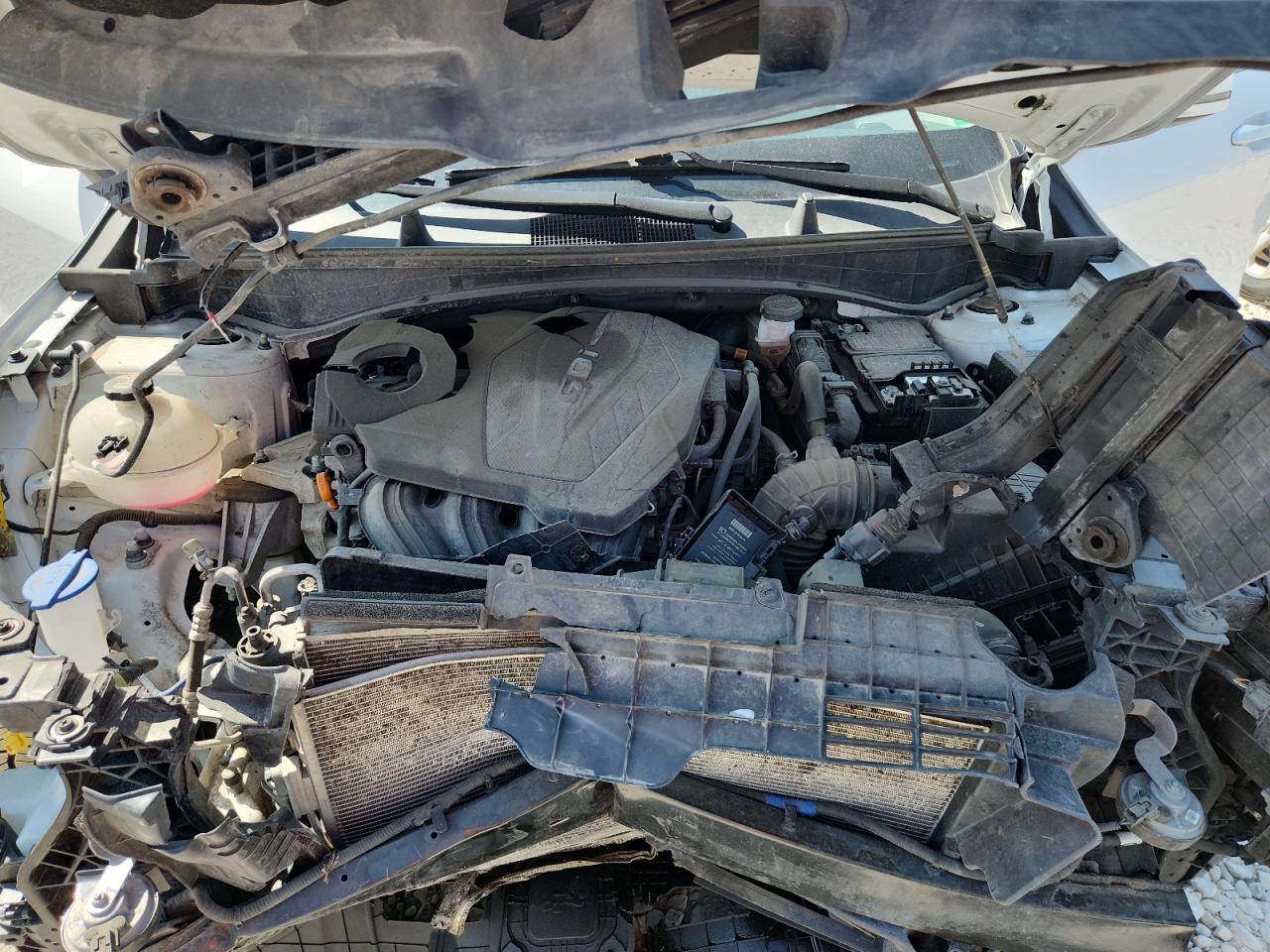 2023 Kia Sportage Ex VIN: 5XYK3CAFXPG067987 Lot: 71651295