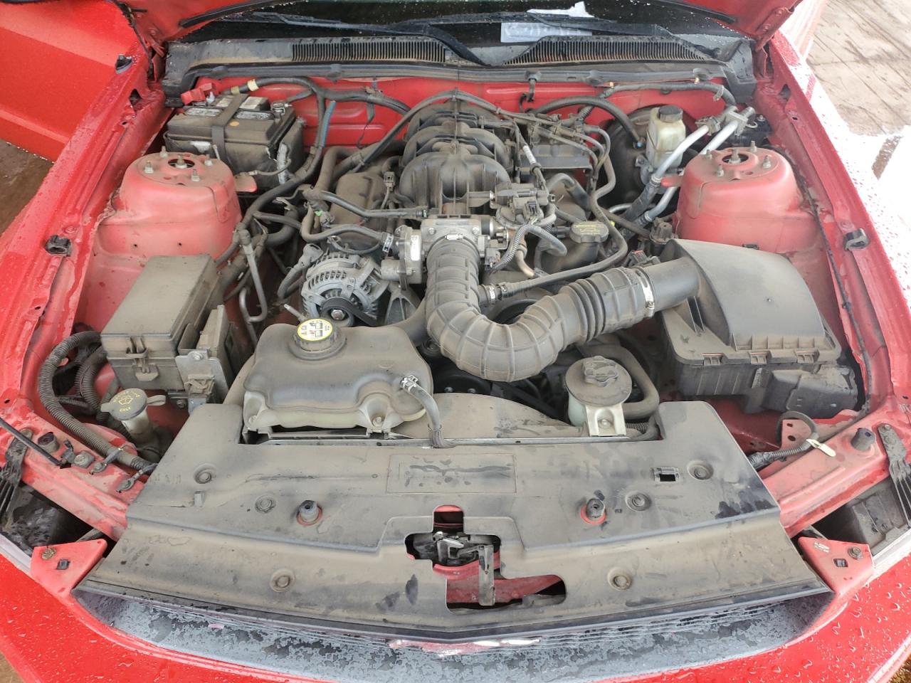 2009 Ford Mustang VIN: 1ZVHT80N995133437 Lot: 81881755