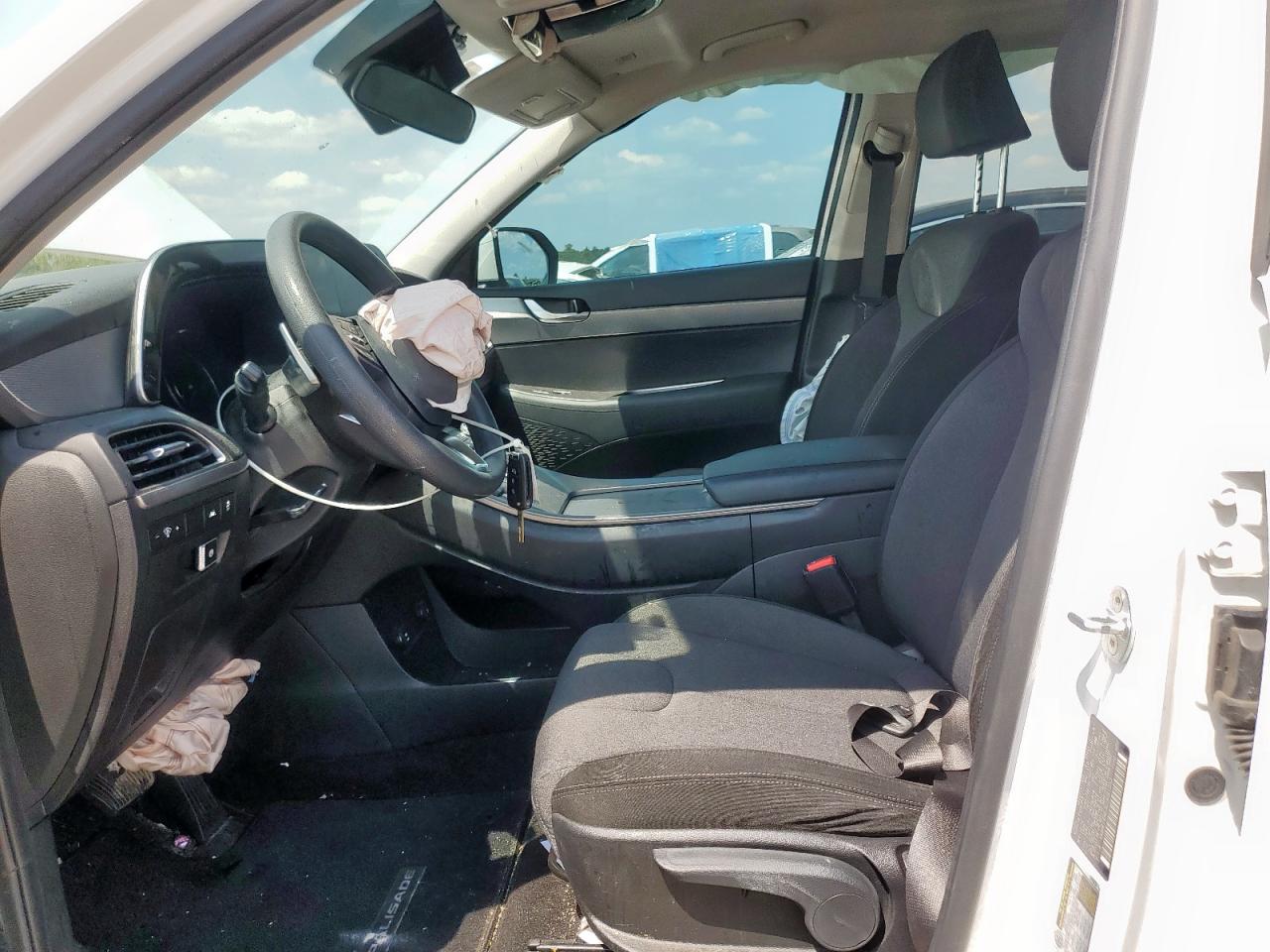 2020 Hyundai Palisade Se VIN: KM8R14HE3LU091253 Lot: 84876825