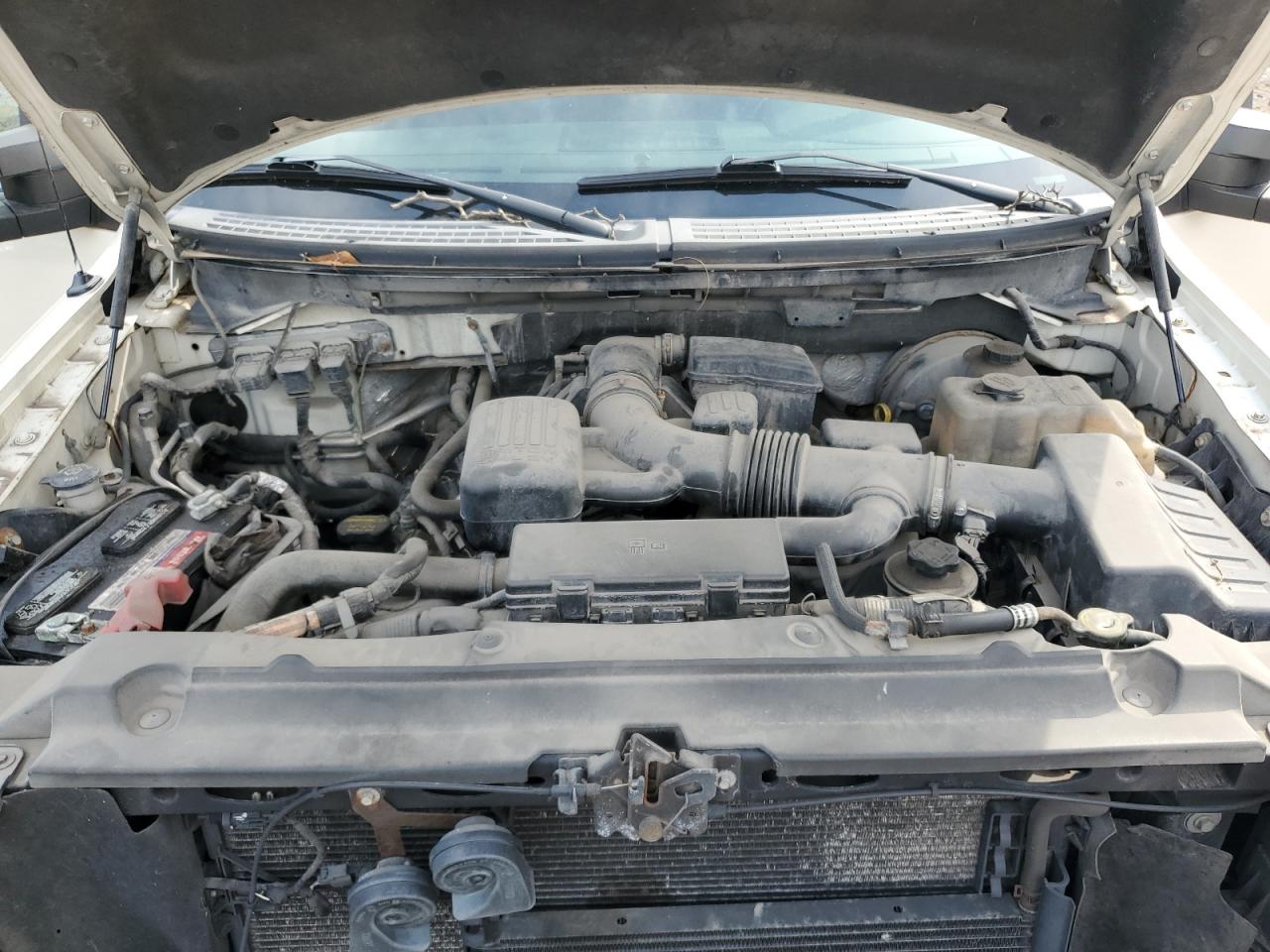 2009 Ford F150 Supercrew VIN: 1FTPW14V29FA06286 Lot: 81307715