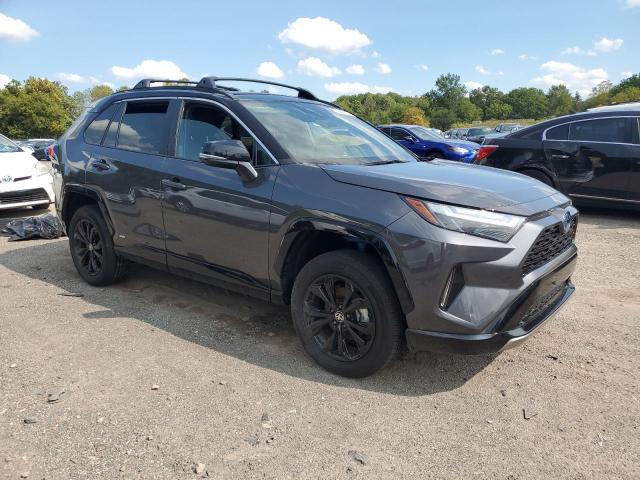  TOYOTA RAV4 2024 Серый