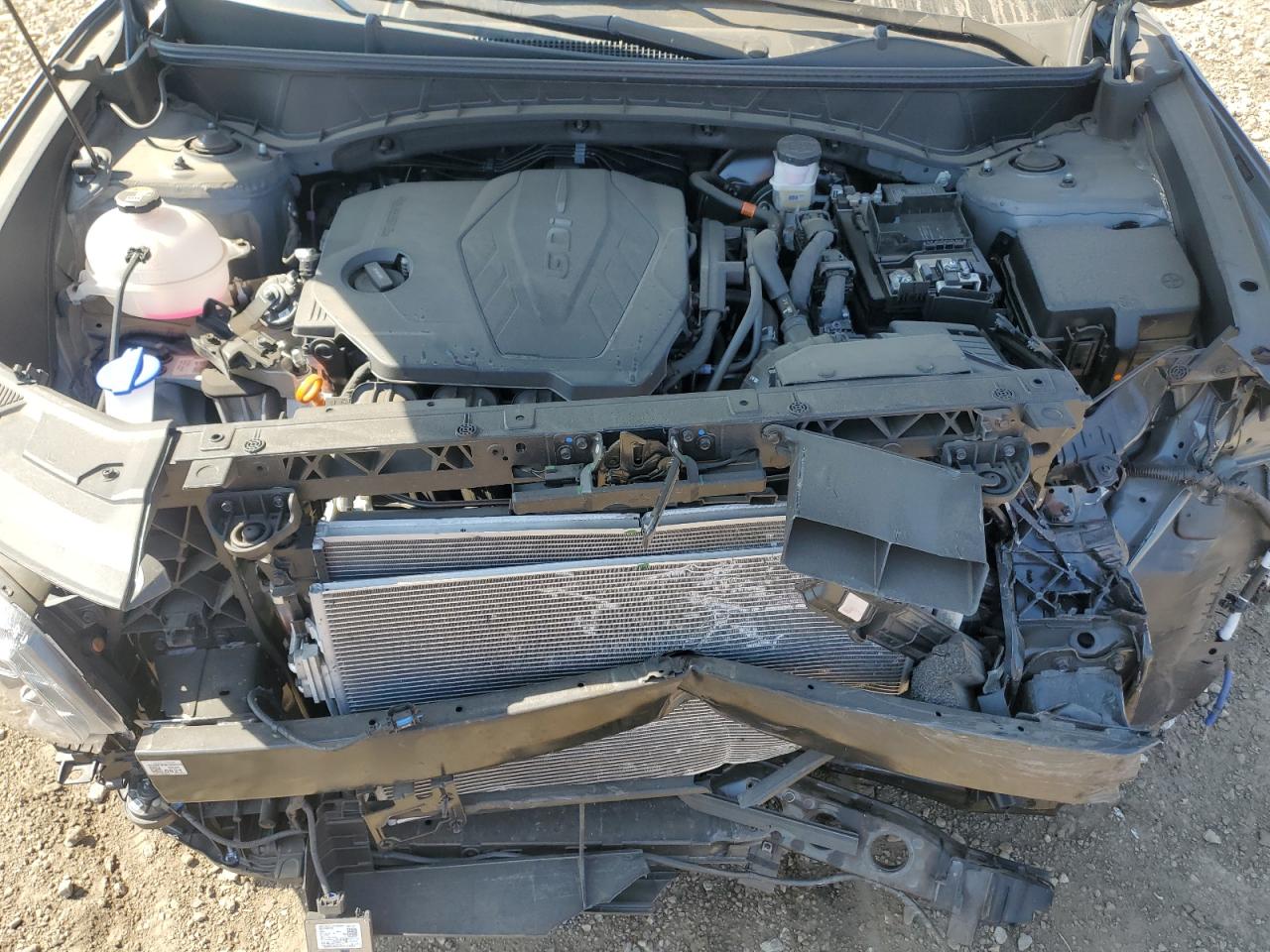 2024 Hyundai Tucson Sel VIN: 5NMJBCDE5RH360531 Lot: 81000415