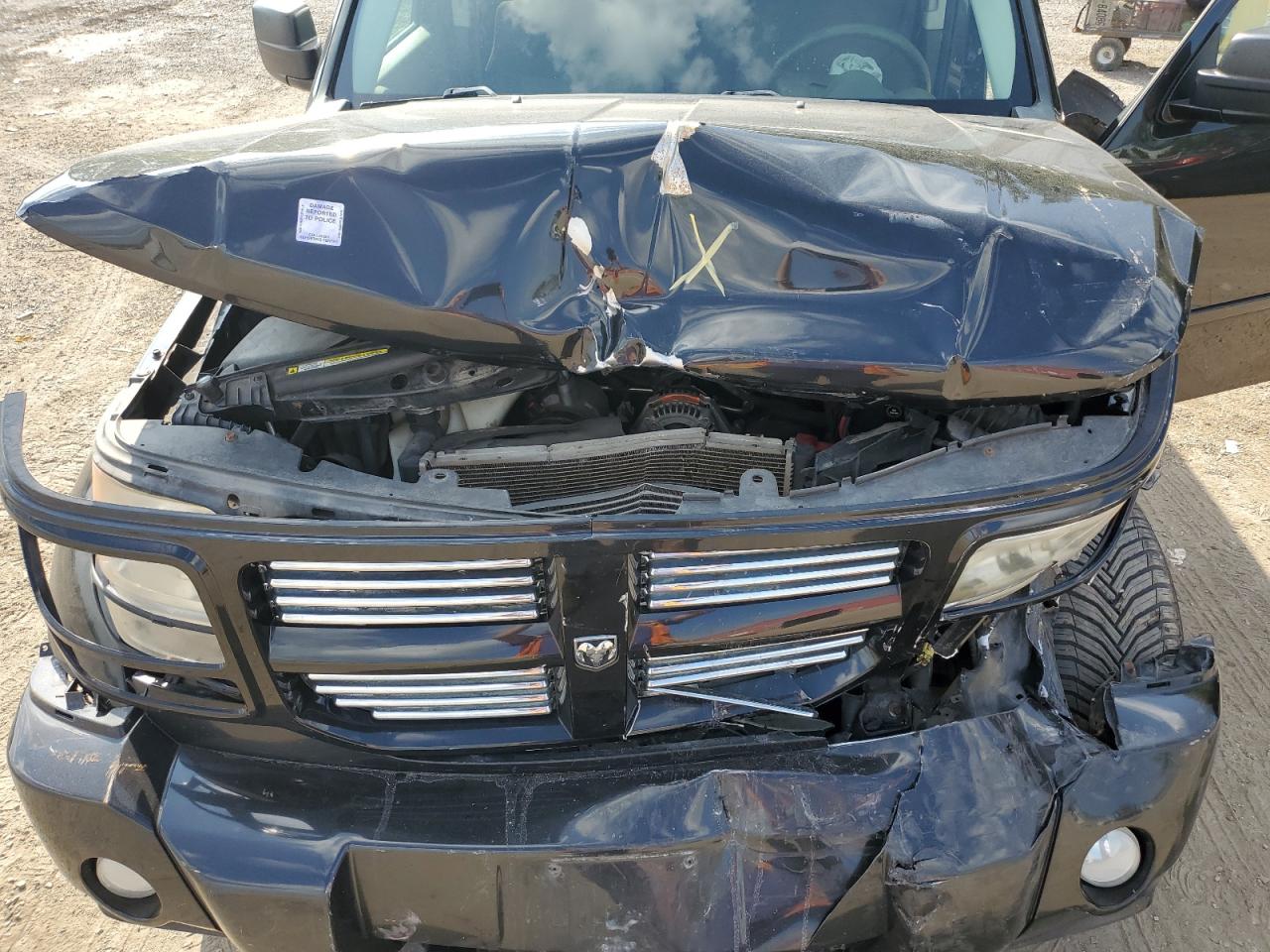 2010 Dodge Nitro Sxt VIN: 1D4PU5GK5AW146659 Lot: 81163675