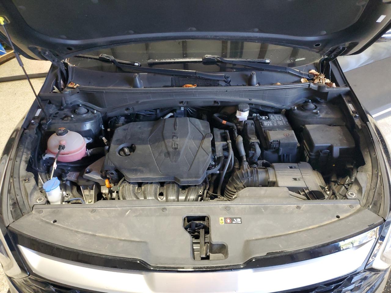 2023 Kia Sportage Ex VIN: 5XYK3CAF1PG133388 Lot: 69654715