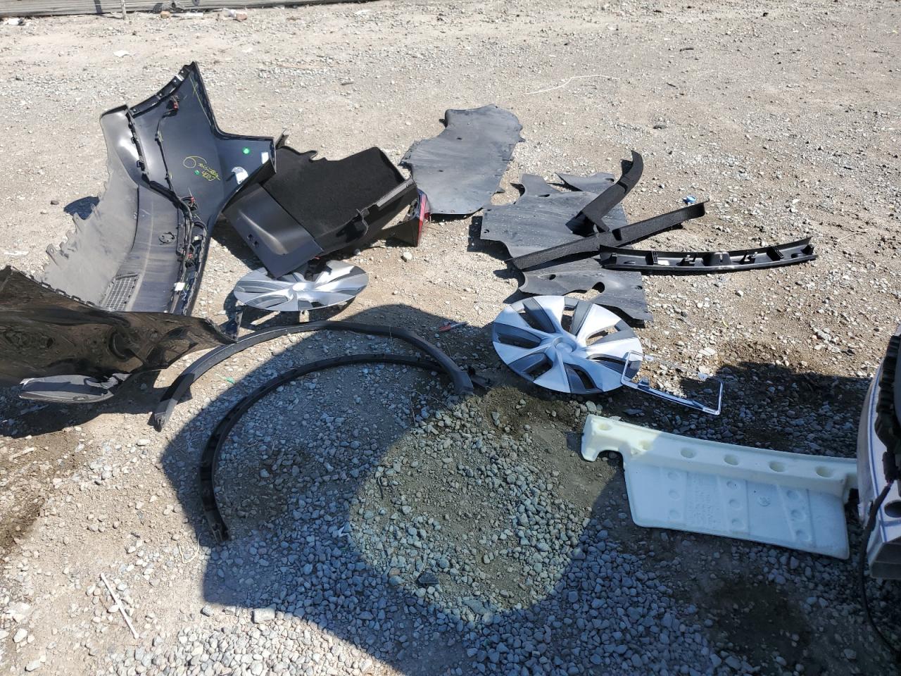 2022 Tesla Model Y VIN: 7SAYGDEE1NF424051 Lot: 81697565