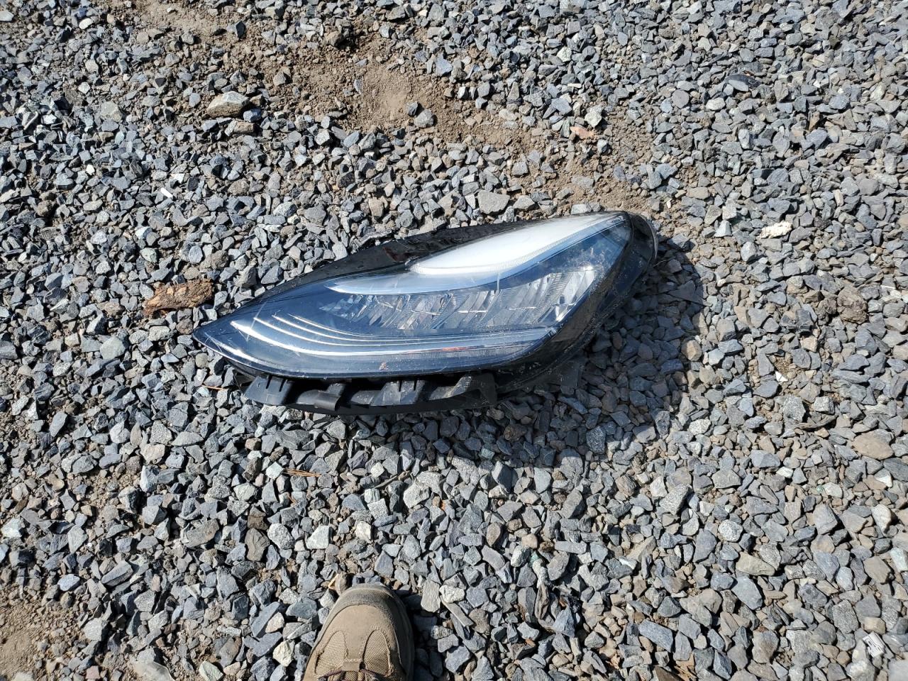 2020 Tesla Model Y VIN: 5YJYGDEE5LF049730 Lot: 80450625