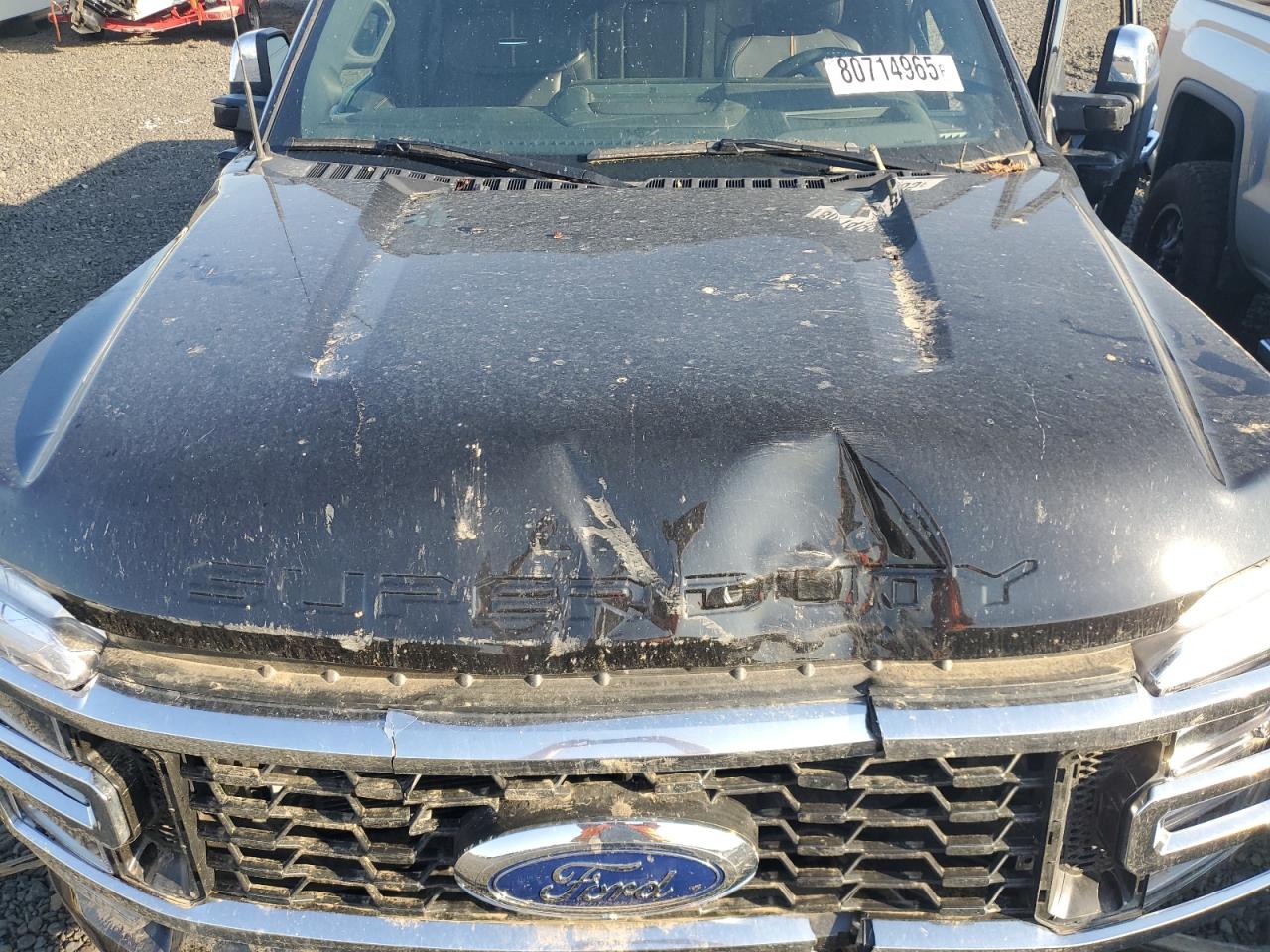 2024 Ford F450 Super Duty VIN: 1FT8W4DM7REE73769 Lot: 80714965