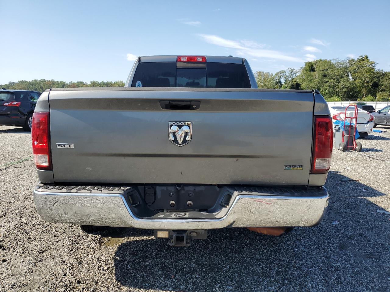 2009 Dodge Ram 1500 VIN: 1D3HB18P19S800612 Lot: 71449335