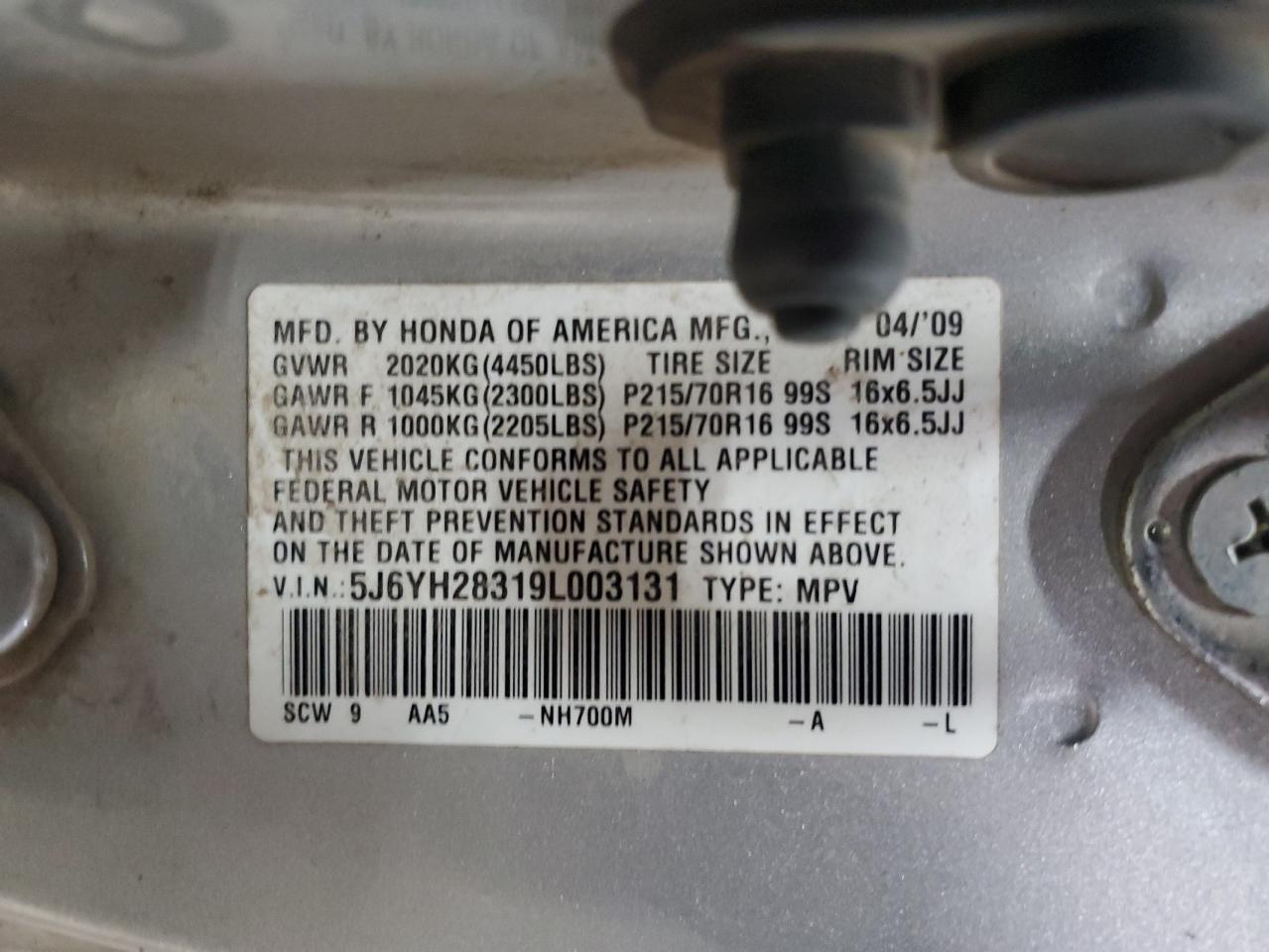 2009 Honda Element Lx VIN: 5J6YH28319L003131 Lot: 81472815