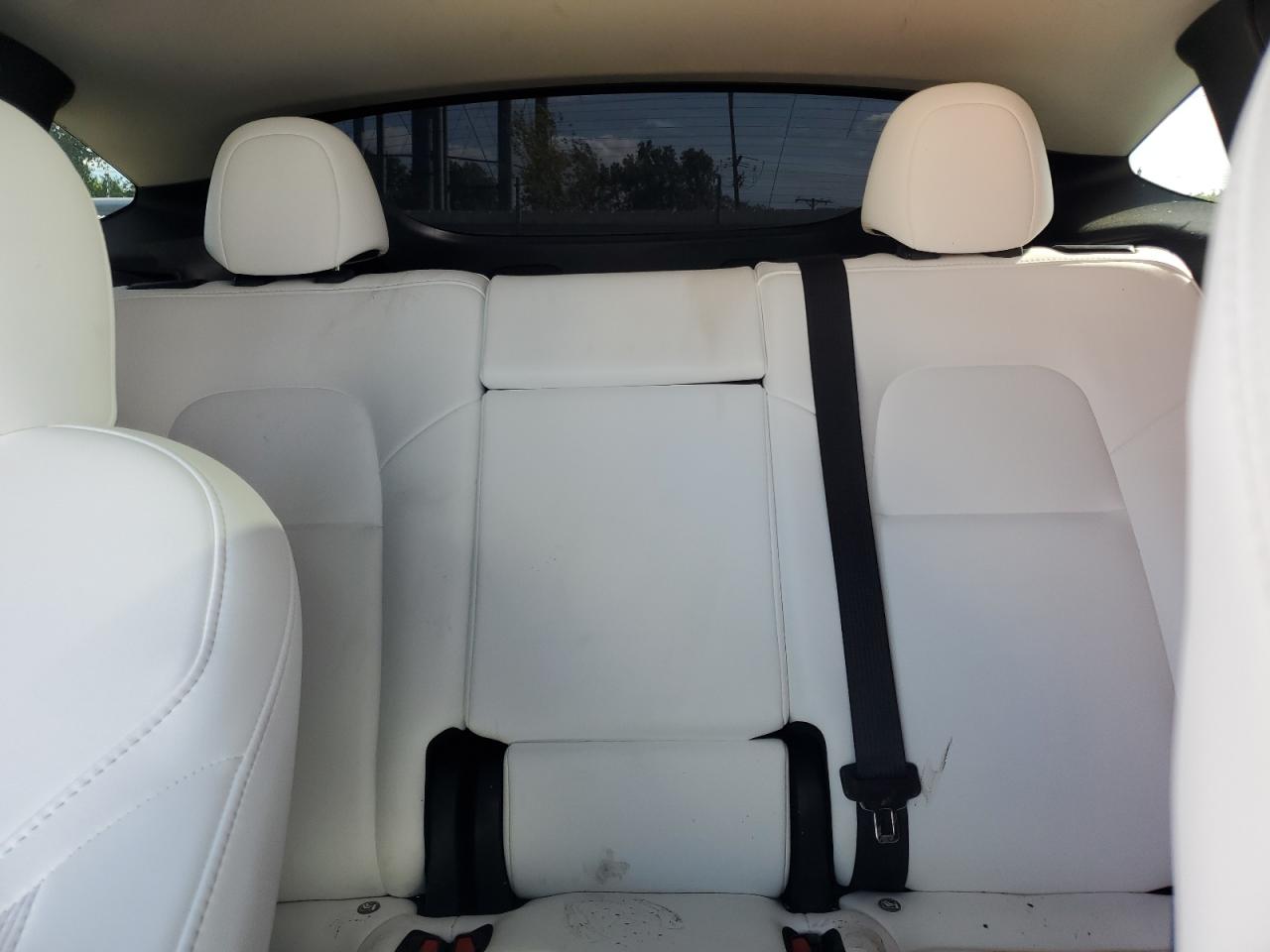 2023 Tesla Model Y VIN: 7SAYGDEE5PF826495 Lot: 71681245