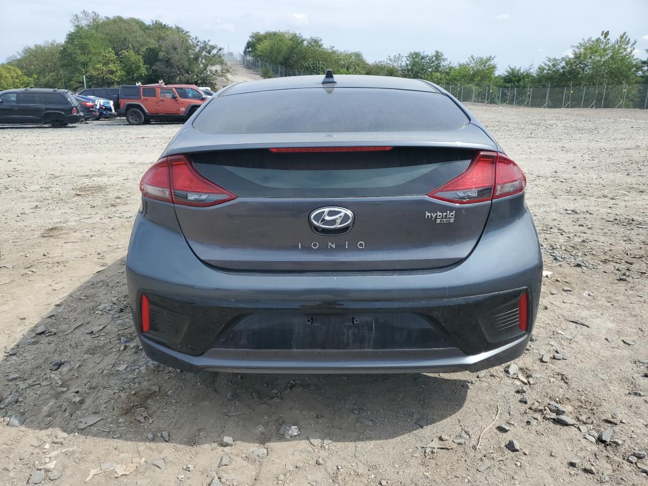 2019 Hyundai Ioniq Blue VIN: KMHC65LC8KU171648 Lot: 80616945