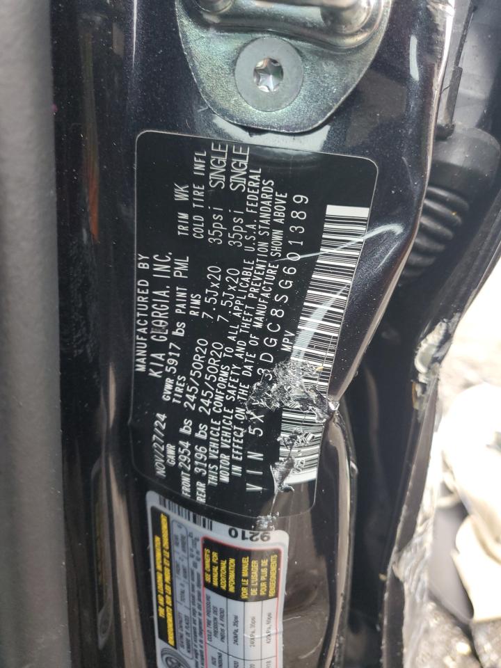 2025 Kia Telluride Ex VIN: 5XYP3DGC8SG601389 Lot: 80807645