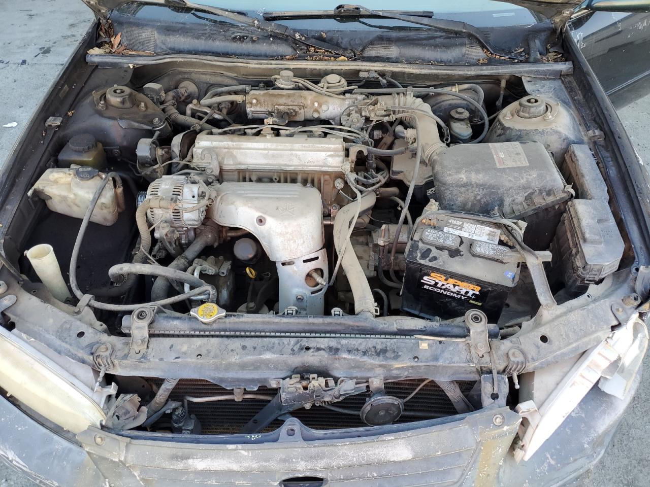 1999 Toyota Camry Ce VIN: 4T1BG22K1XU440385 Lot: 81524555