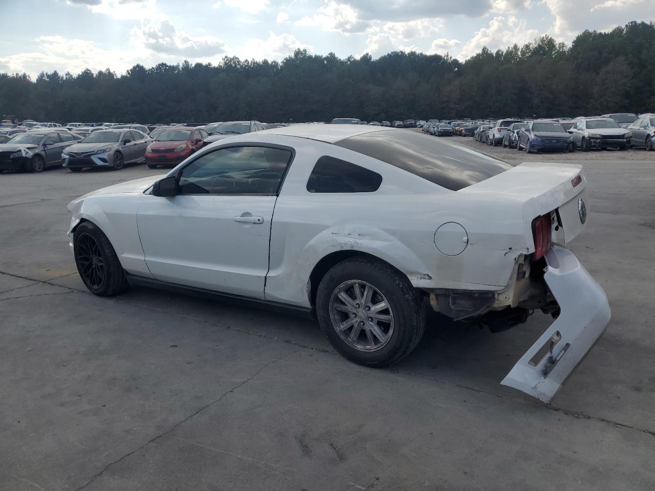 2008 Ford Mustang VIN: 1ZVHT80N785140031 Lot: 81670685