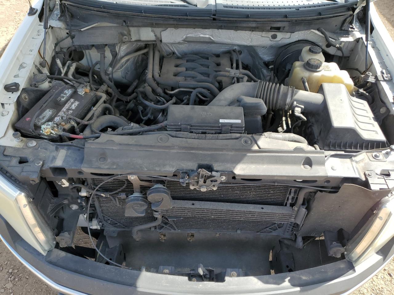 2011 Ford F150 VIN: 1FTNF1CFXBKD51712 Lot: 81407795