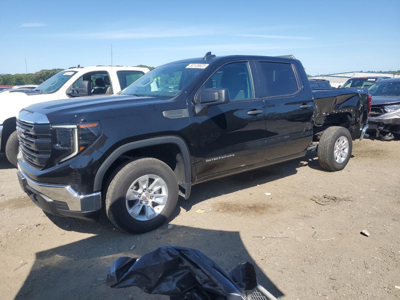 2024 GMC Sierra K1500 VIN: 3GTPUAEK0RG234974 Lot: 80135625