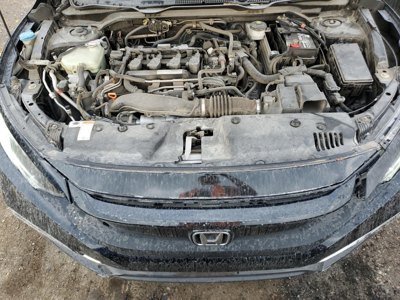 2020 Honda Civic Ex VIN: 2HGFC1F3XLH680855 Lot: 80751675